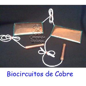 biocircuito Image